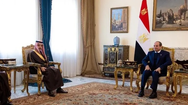 وزير الخارجية السعودي والرئيس المصري يبحثان تطورات المنطقة