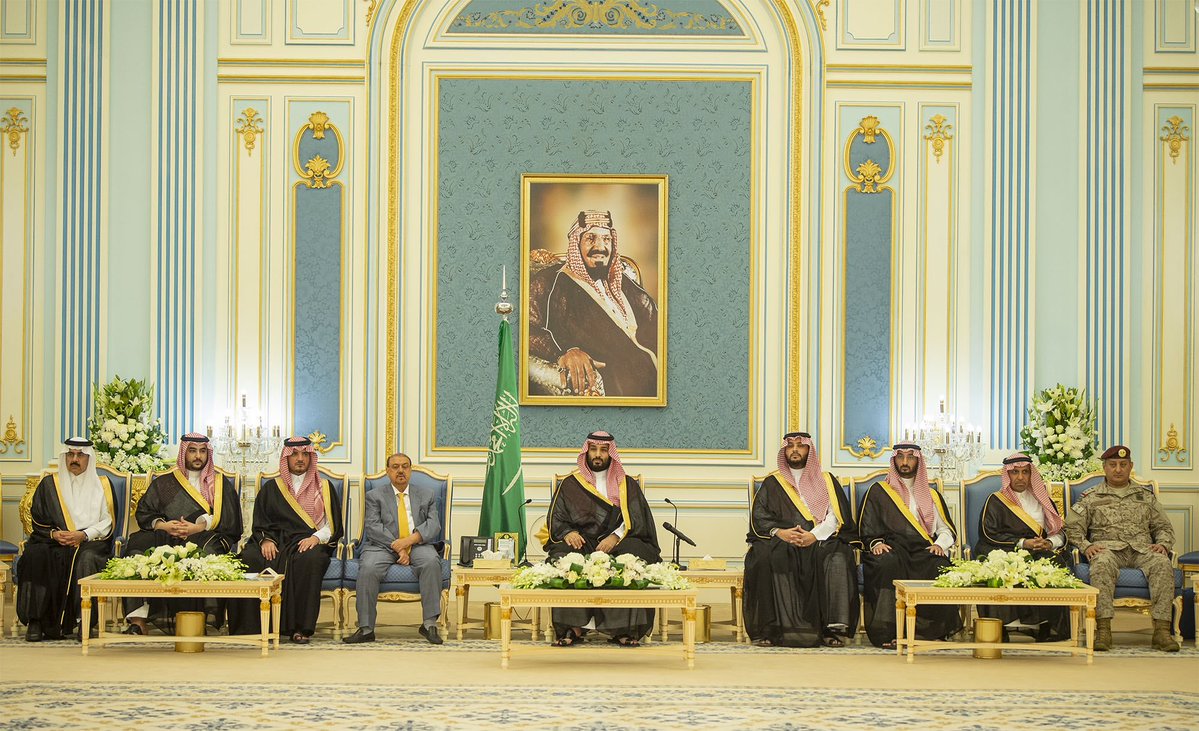 ولي العهد السعودي يلتقي رئيس وأعضاء مجلس النواب اليمني - صور لـ