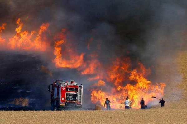 حرائق مزارع القمح والشعير في العراق