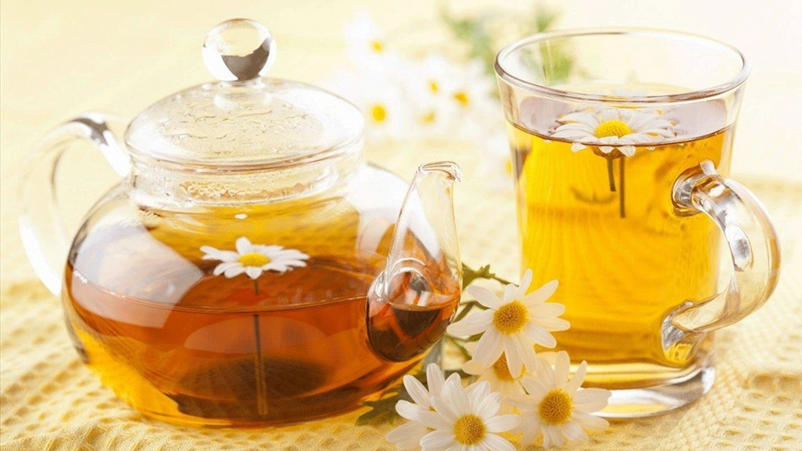 شاي البابونج المتعدد الفوائد