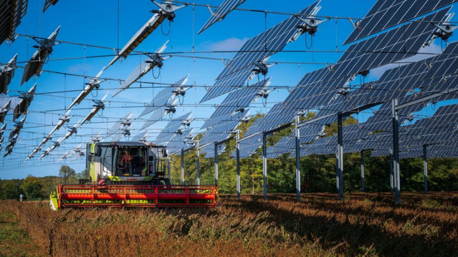 حصاد فول الصويا تحت الألواح الشمسية المعلقة في امانس بشرق فرنسا. أظهر تحليل جديد أن الطاقة الشمسية وطاقة الرياح تفوقت على توليد الكهرباء بالغاز الطبيعي لإنتاج أكثر من خمس كهرباء الاتحاد الأوروبي العام الماضي