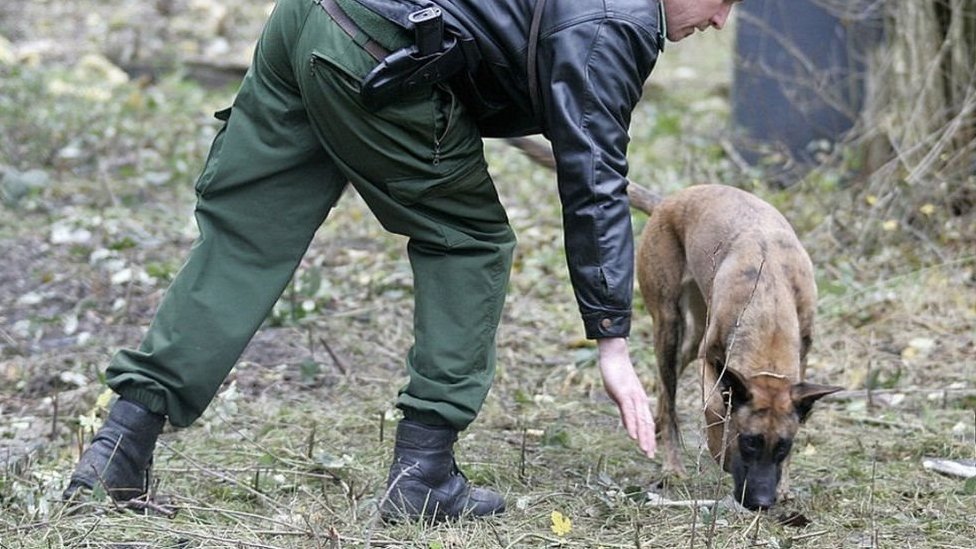 قادت الكلاب البوليسية الشرطة إلى الشقة التي يقيم فيها المشتبه به في برلين