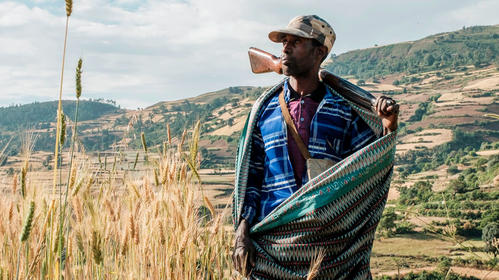 مزارع ومقاتل ميليشيا في شمال غرب جوندر ، إثيوبيا، في 8 نوفمبر/تشرين الثاني 2020 AFP
