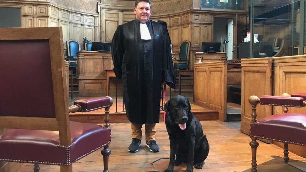 لول هو أول كلب في أوروبا يستعين به القضاء في مساعدة ضحايا الجرائم