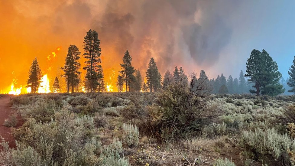 Getty Images قضى الحريق على الغابات في جنوب ولاية أوريغون