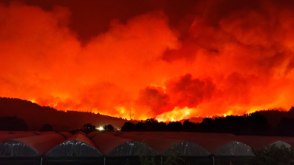 موجة الحر: حرائق الغابات في اليونان تخرج عن السيطرة