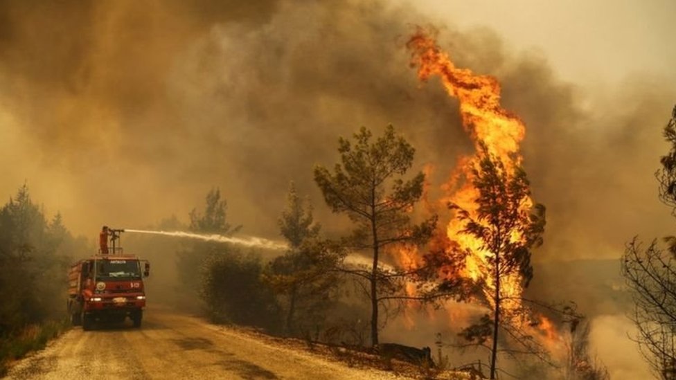 Reuters شهدت تركيا حرائق غابات غير مسبوقة