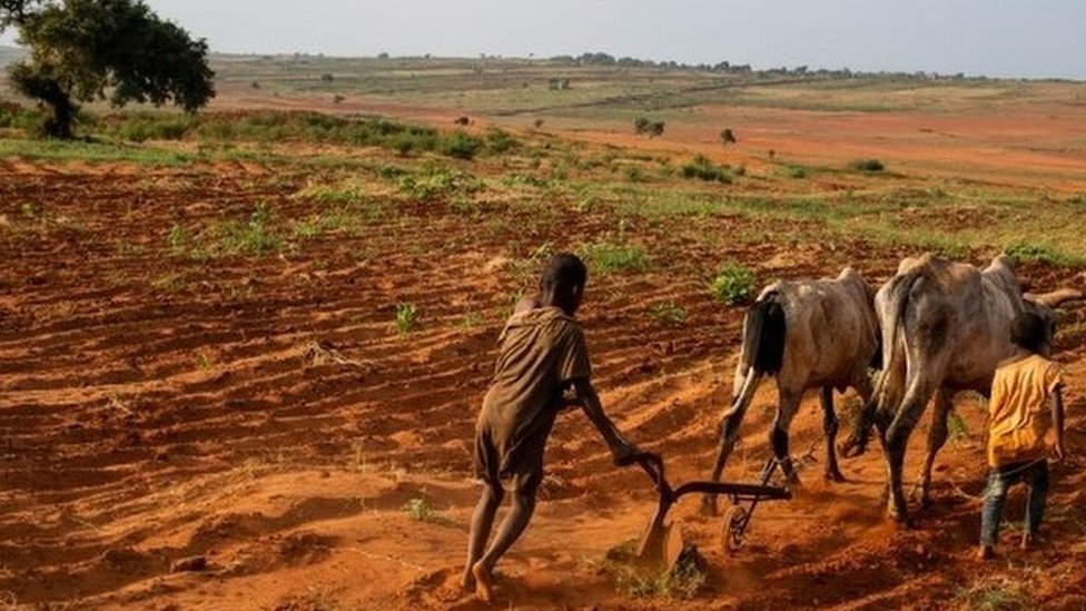 مدغشقر: أول مجاعة 