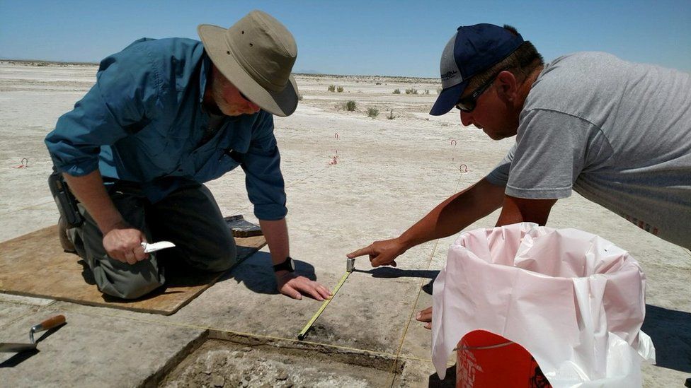 Reuters وجد علماء الآثار البذور في صحراء سولت لايك
