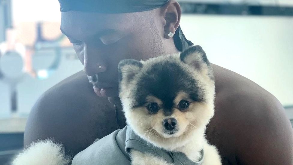 حكم يلزم دانييل ستوريدج بدفع 30 ألف دولار لرجل عثر على كلبه الضائع