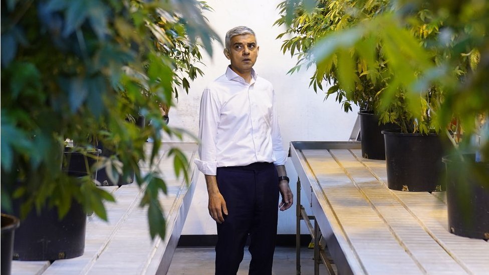 PA Media صادق خان يزور مزرعة للقُنَّب الهندي في لوس أنجيليس