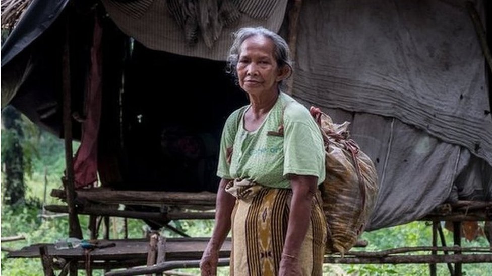 شركات زيت النخيل التي تحرم السكان المحليين من أرباح تقدر بالملايين