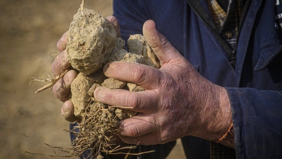 EPA مزارع يوضح كيف أدى الجفاف إلى تضرر حقله في ميلانو بإيطاليا