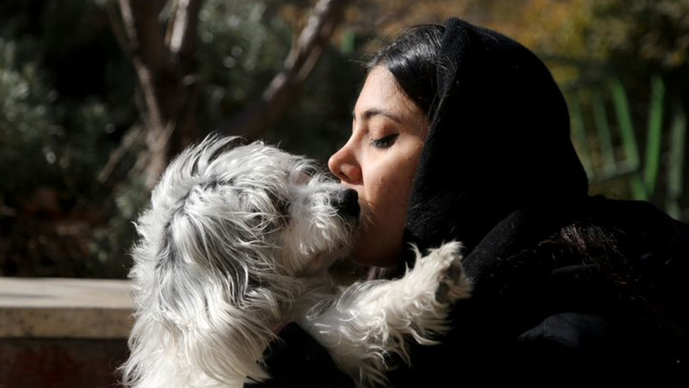 Getty Images قد يكون للتشريع الجديد تداعيات خطيرة على ملكية الحيوانات الأليفة في إيران