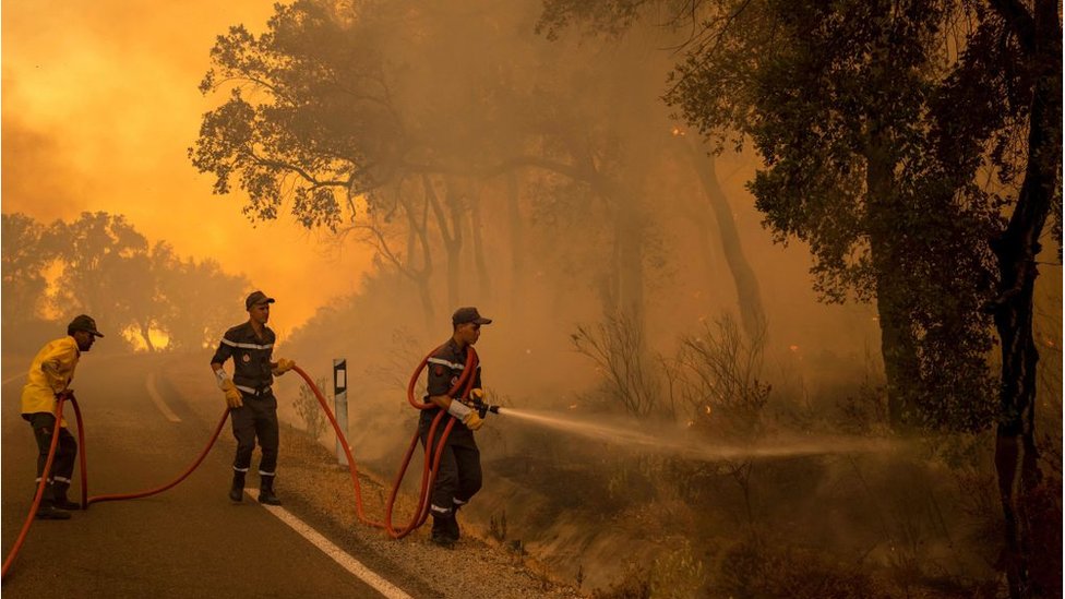 Getty Images رجال الإطفاء يكافحون حريق شب في غابة بالقرب من مدينة القصر الكبير المغربية في منطقة العرائش