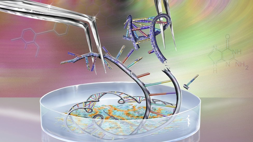 Getty Images يخشى البعض من إساءة استعمال تقنيات الهندسة الوراثية والتحرير الجيني بما يفضي إلى حقبة جديدة من اليوجينيكس