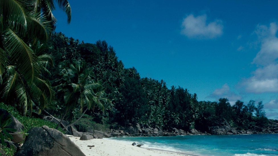 BBC تعاني جمهورية سيشيل من انتشار الهيروين الذي يتم إدخاله للبلاد عبر شواطئ الجزيرة