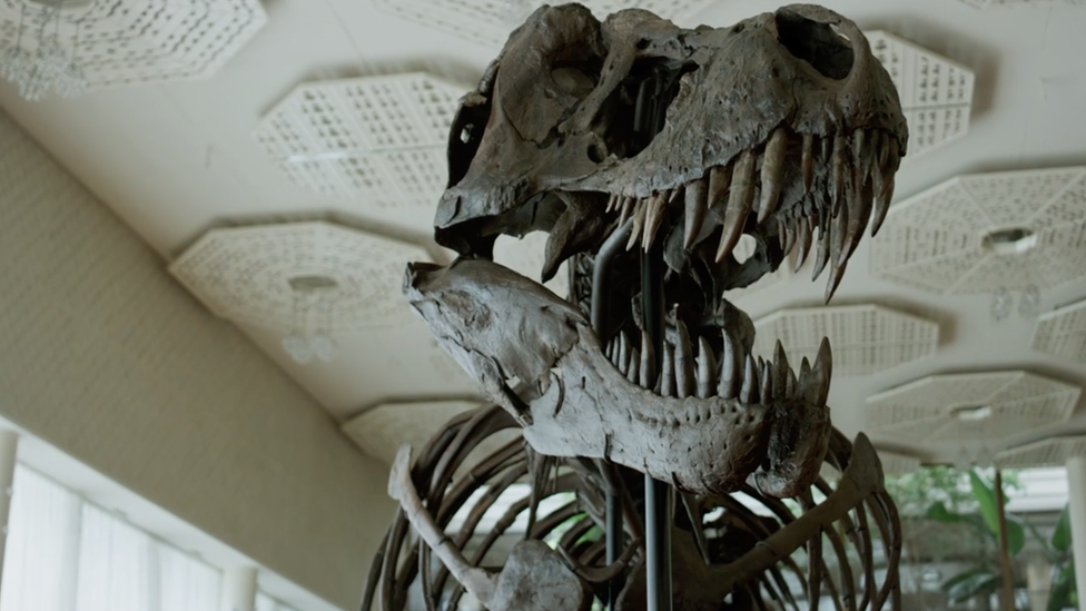 Koller يقدر عمر الهيكل العظمي بـه 67 مليون سنة