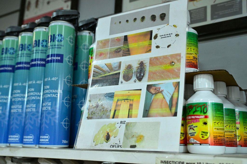 الحكومة الفرنسية تسابق الزمن لمكافحة تفشي حشرة بق الفراش 