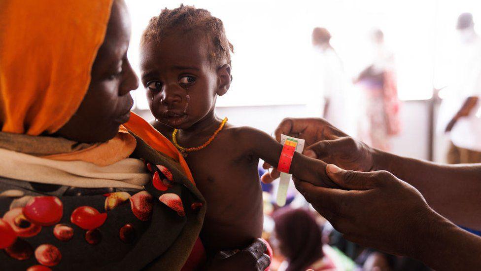 الأمم المتحدة: الملايين باتوا على حافة المجاعة في السودان
