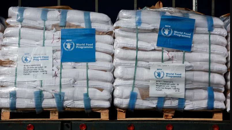 مساعدات غذائية من برنامج الأغذية العالمي - Reuters