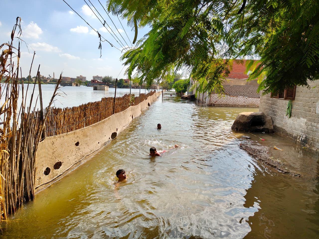 حذر خبراء مصريين من تداعيات غياب التنسيق بين دول المصب في إدارة مياه نهر النيل- تصوير مروة محمود - BBC