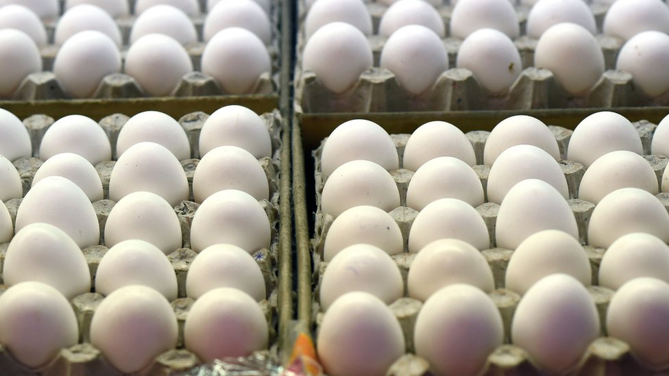 شركة فنزويلية تغري الموظفين الجدد بعلاوة تحفيزية 144 بيضة شهريا