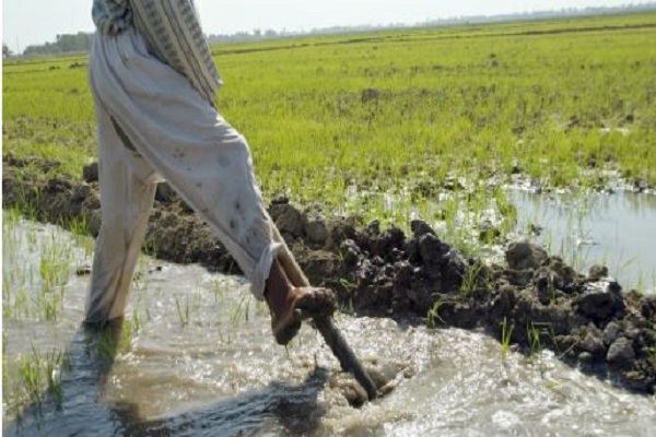 أمن العراق المائي: حظر زراعة محاصيل لتوفير المياه العذبة للمواطنين