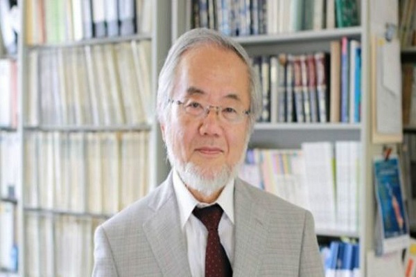 فوز العالم الياباني يوشينوري أوسومي بجائزة نوبل في الطب