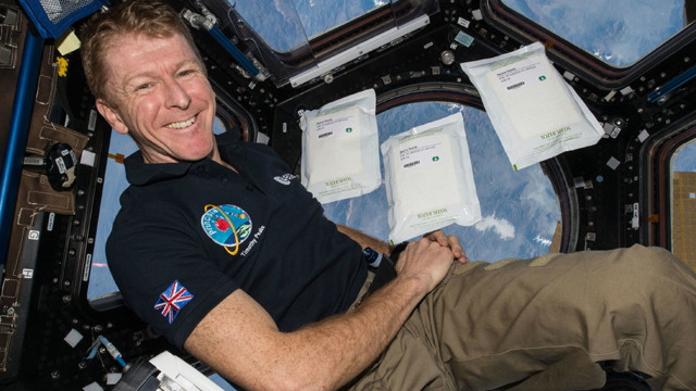 رائد الفضاء البريطاني تيم بيك يعود الى الأرض