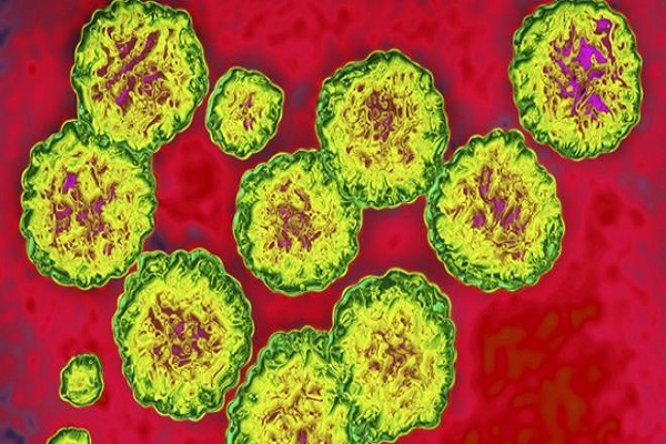 تقرير: التهاب الكبد الفيروسي يصبح سببا رئيسيا للوفاة والاعاقة
