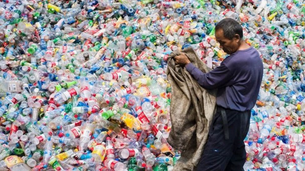 تواجه الحياة البحرية ضررا واسعا من جراء النفايات البلاستيكية التي تنتهي في البحار والمحيطات