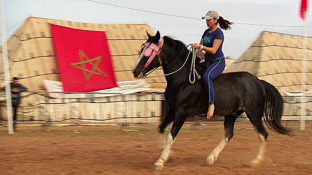 نساء في المغرب ينافسن الرجال على عروض التبوريدة