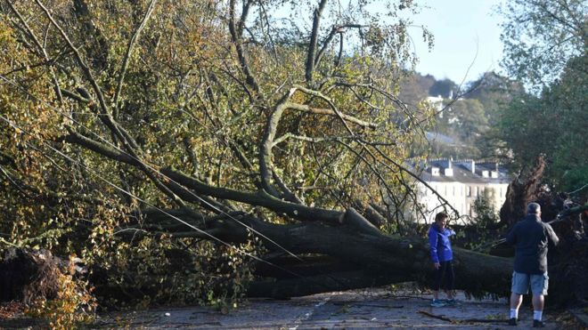 الإعصار أوفيليا يتسبب في انقطاع الكهرباء عن الآلاف في بريطانيا وإيرلندا