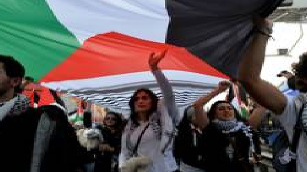 مظاهرة مؤيدة للفلسطينيين في تشيلي