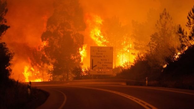حاصرت حرائق الغابات منطقة بدروغاو غراند في البرتغال من الجهات الأربعة