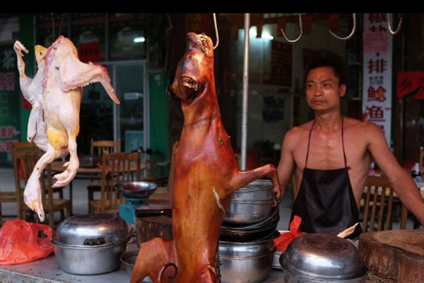 مهرجان أكل لحوم الكلاب ينطلق في الصين رغم شائعات حظره