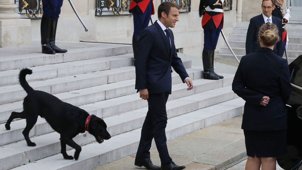 الرئيس الفرنسي ماكرون يختار نيمو 