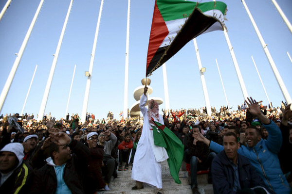مشجع جزائري يرفع العلم الفلسطيني