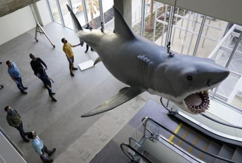 مجسّم من 8 أمتار لسمكة القرش في فيلم 