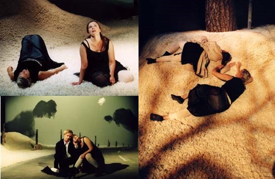 مسرحية نساء في بحيرة البجع في مسرح مدينة ستوكهولم