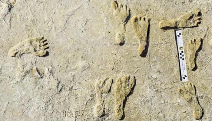 آثار أقدام عمرها 23 ألف سنة تعيد كتابة تاريخ البشر في أميركا