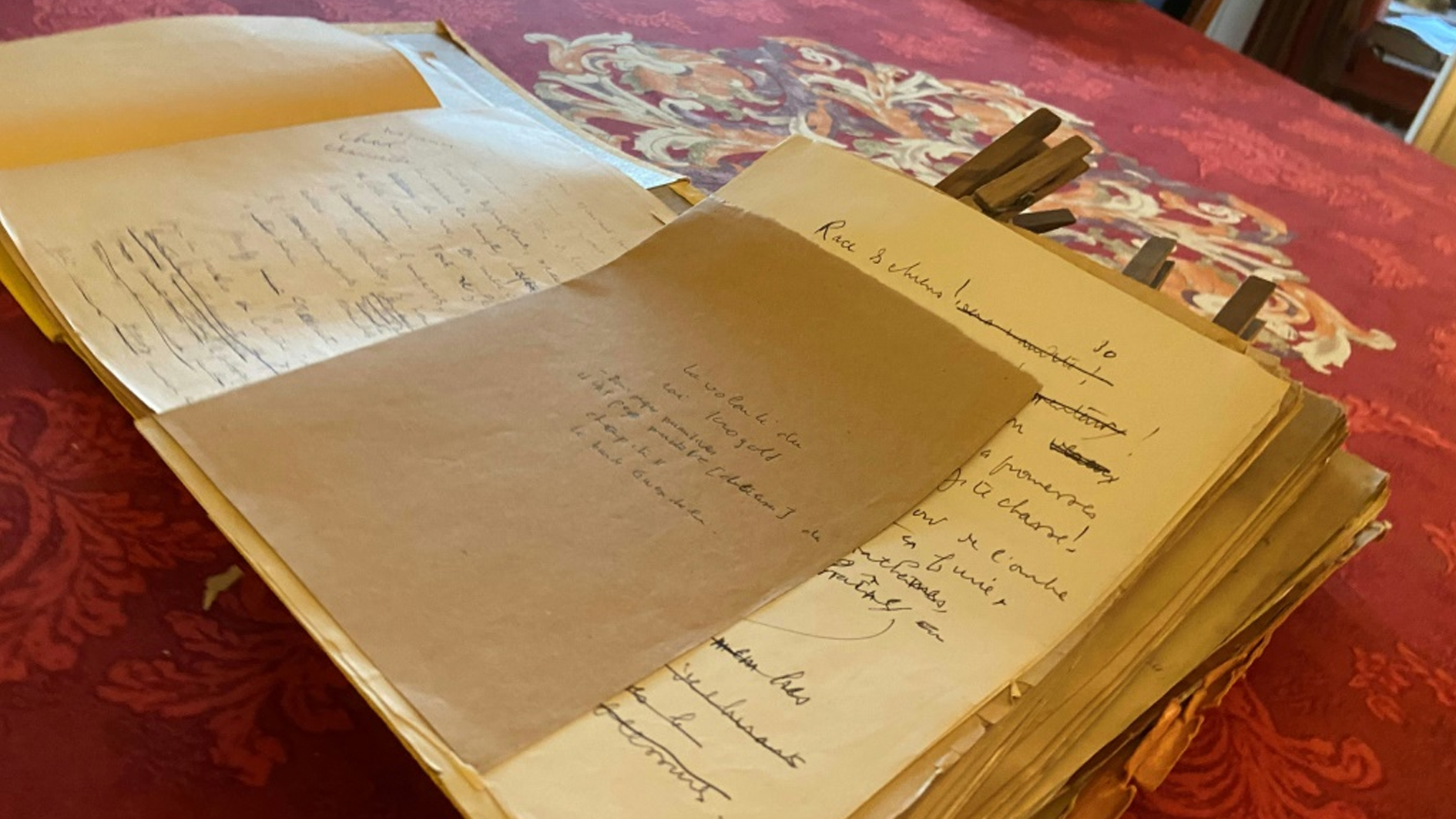 صورة التقطت في 10 آب/أغسطس 2021 لمخطوطات للكاتب الفرنسي لوي فردينان سيلين تتضمن نحو ستة آلاف ورقة غير منشورةاستردها ورثة الكاتب بعدما كانت مفقودة لعشرات السنوات (ا ف ب)