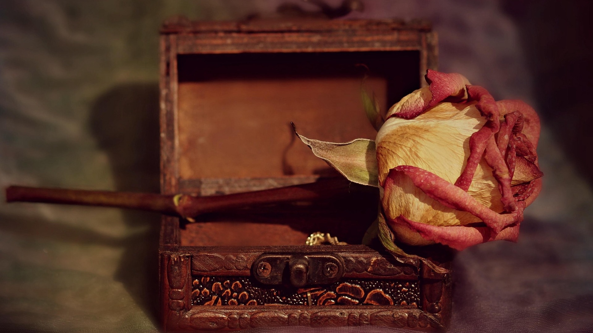 Image by Adina Voicu from Pixabay