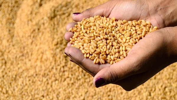 47 ألف طن من القمح مساعدات أميركية للأردن