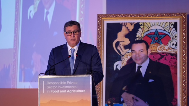 عزيز أخنوش وزير الفلاحة المغربي