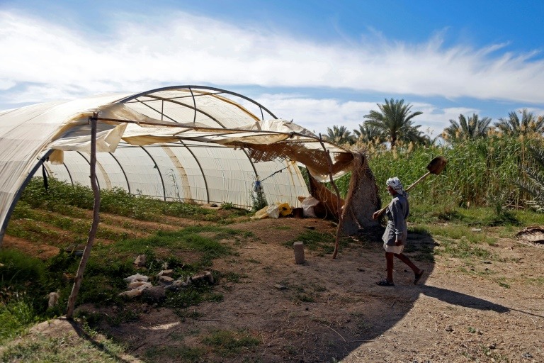 جفاف قاس يهدد الزراعة في جنوب العراق