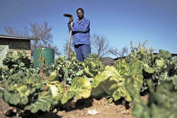 أفريقيا تبحث عن طرق لإصلاح الأراضي الزراعية المتدهورة
