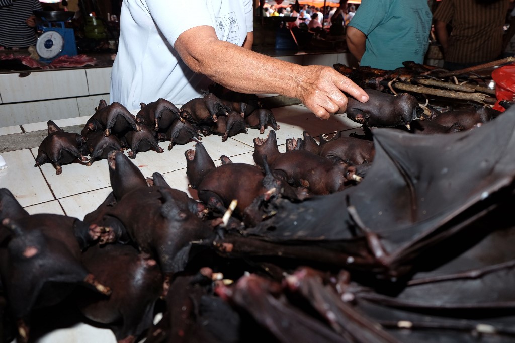 الاتجار بلحم الخفاش مستمر في إندونيسيا رغم المخاوف من بكورونا