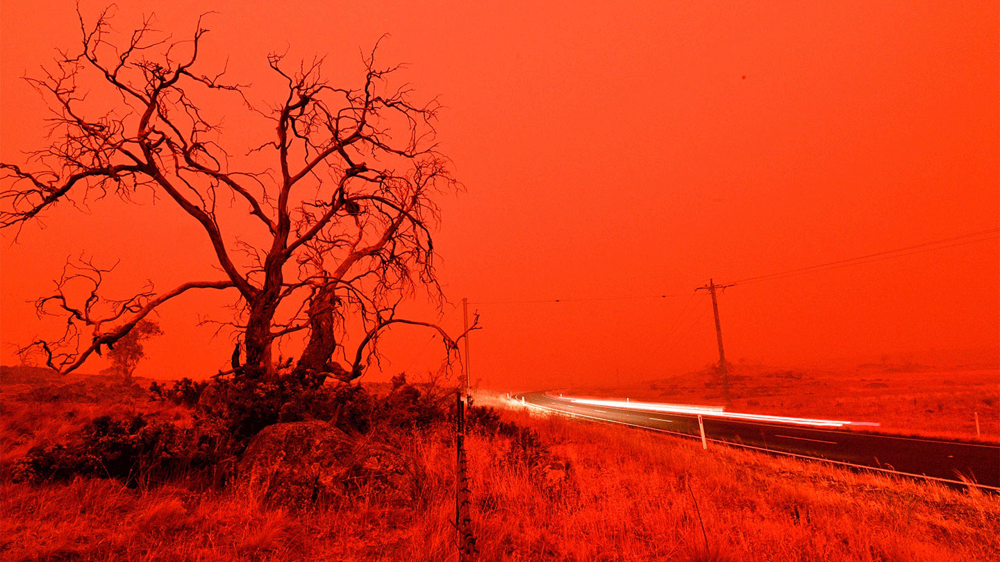 حريق في أستراليا حول دخانه السماء إلى برتقالية، وأجهز على موائل الحيوانات